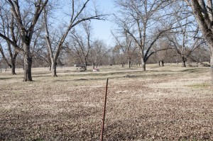 Little Eva Plantation