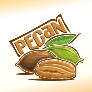 ‘In Praise Of Pecans’ For The Family Cook