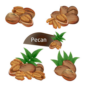 The Top 4 Reasons To Buy Pecans 