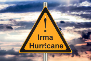 Pecan Crops Ravaged By Hurricane Irma Pecan Crops Ravaged By Hurricane Irma