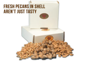 Fresh Pecans In Shell: Everything You Need To Know Before Buying