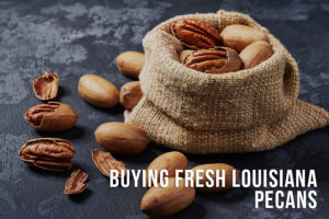 How Louisiana Revolutionized the Pecan Industry