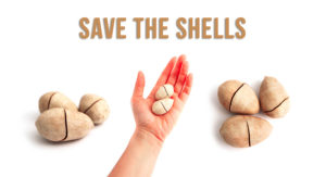 Don’t Be So Quick To Toss Away Your Pecan Shells 