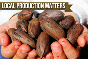 Where You Buy Your Pecans Matters