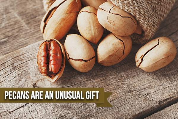 Four Reasons Pecans Make The Perfect Corporate Gift