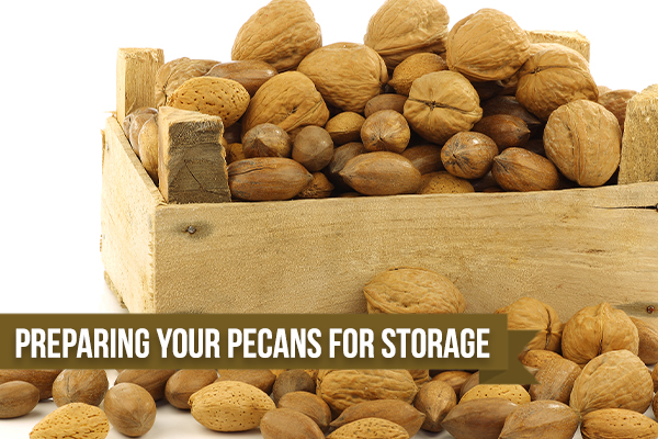 Helpful Tips For Long Term Storage Of Pecans