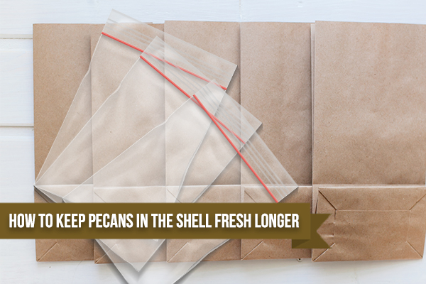 How To Keep Pecans In The Shell Fresh