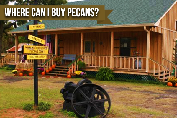 If You’re Wondering Where To Buy Pecans Look No Further 