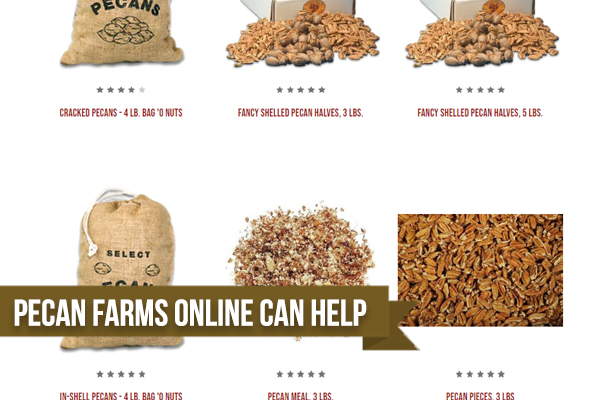 Reasons You Should Turn To Pecan Farms Online