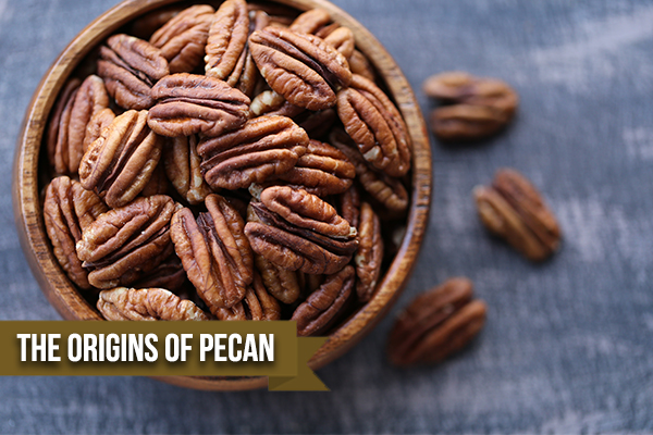 The-history-of-pecan-pie