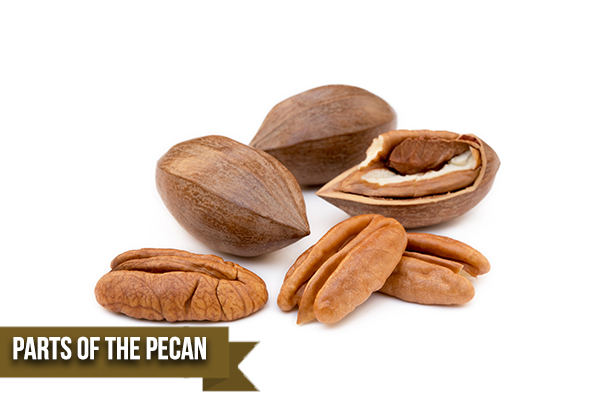 The Inner Workings of Pecan Farms