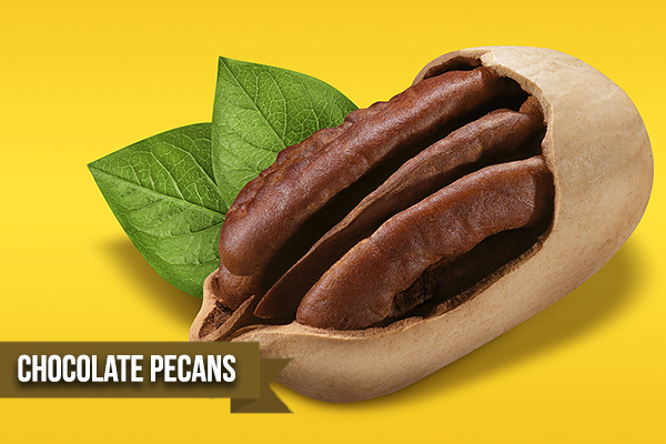  Tickle Your Taste Buds With Our Four Flavors Of Pecan Candies