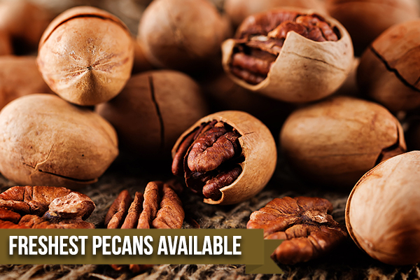 Why You Should Always Buy Pecans Direct From An Orchard